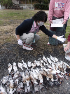 焼き芋レクの写真